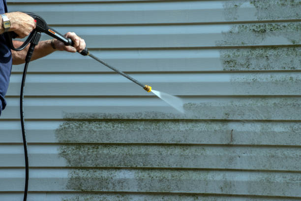 Best House Exterior Washing  in Grant Park, IL
