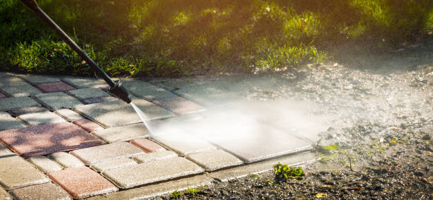 Best Dumpster Area Cleaning  in Grant Park, IL