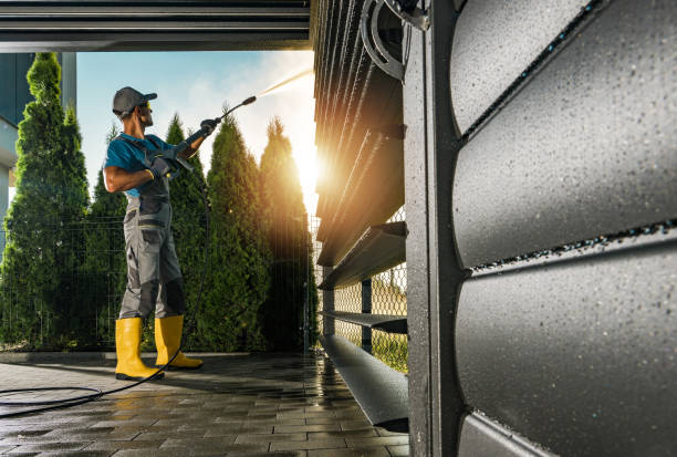 Best Gutter Cleaning  in Grant Park, IL