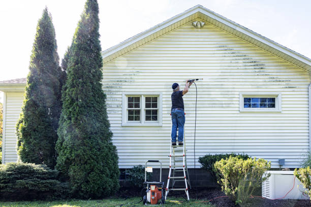 Best Graffiti Removal  in Grant Park, IL